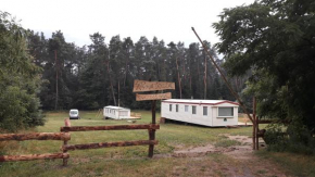 Domki pod lasem w Narolu., Narol